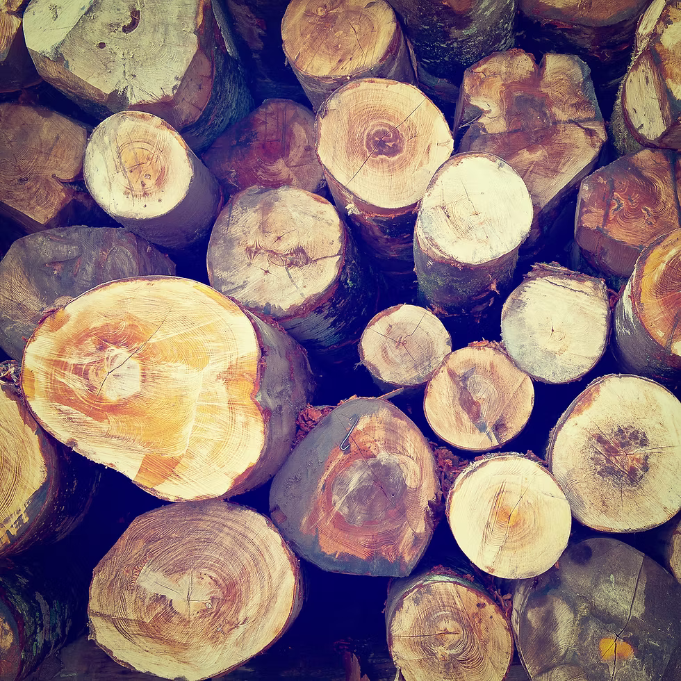 Fire Wood
